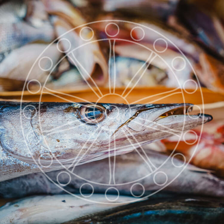 Pesce Azzurro