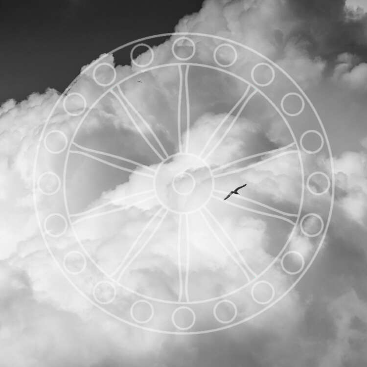 Cielo con Gabbiano