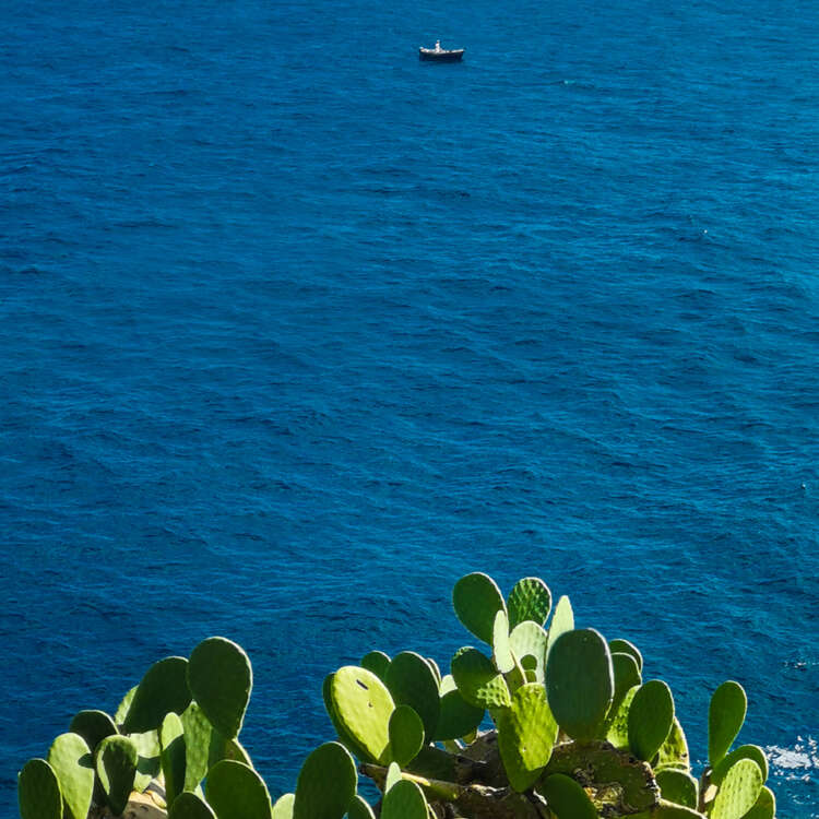 Mare