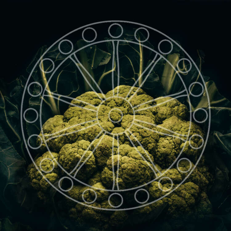Broccolo
