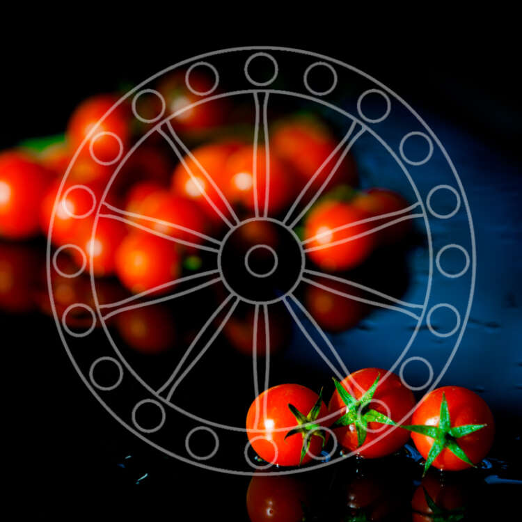 Pomodoro di Pachino