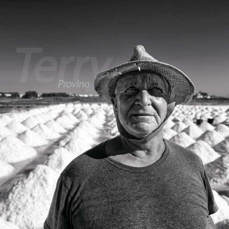 Terry Provino