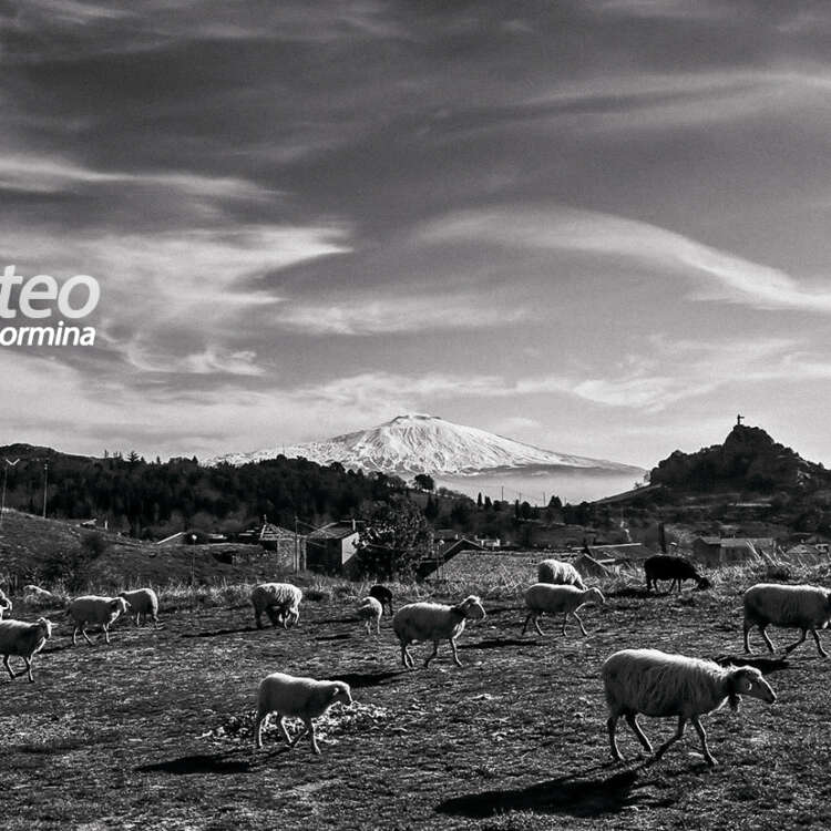 FINE ART Poster Collection