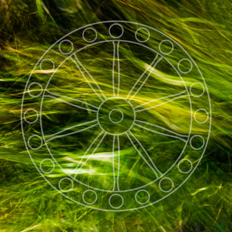 Elements
