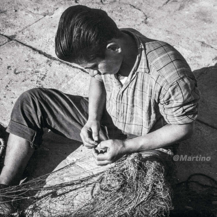 FINE ART Poster Collection