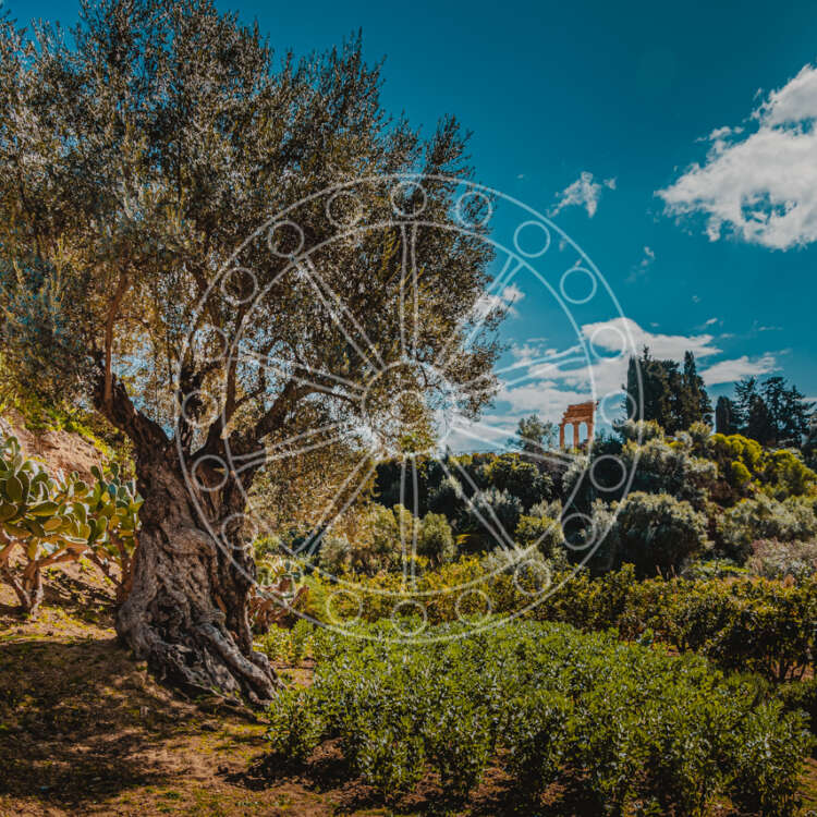 Il giardino della Kolymbethra